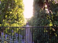 photos 2000-200902557